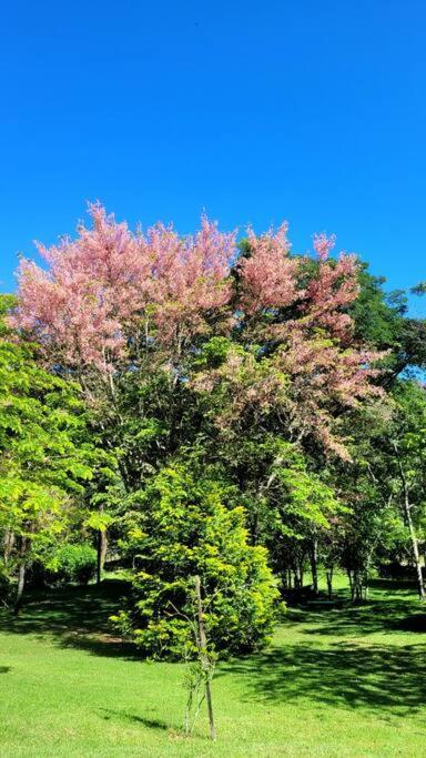 Recanto Dos Beija Flores, Chale Bougainville Monte Alegre do Sul Luaran gambar