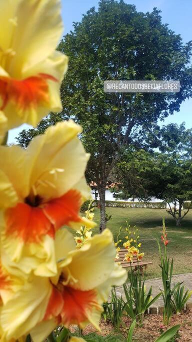 Recanto Dos Beija Flores, Chale Bougainville Monte Alegre do Sul Luaran gambar